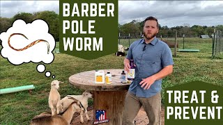 How to Treat & Prevent Barber Pole Worm (Haemonchus Contortus) in Goats | Tips & Practices