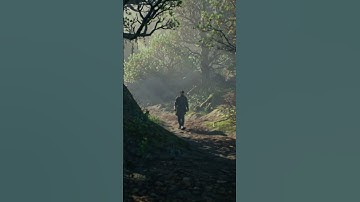 Thumbnail of Healing Songs for the Soul 💖 for Seniors 45–65+ | Still a Beautiful Life