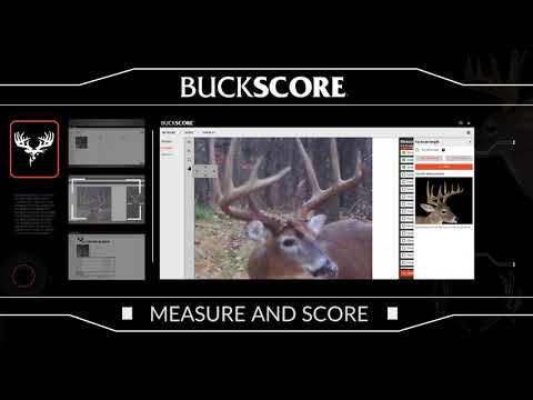 Score Bucks In Minutes | BuckScore App
