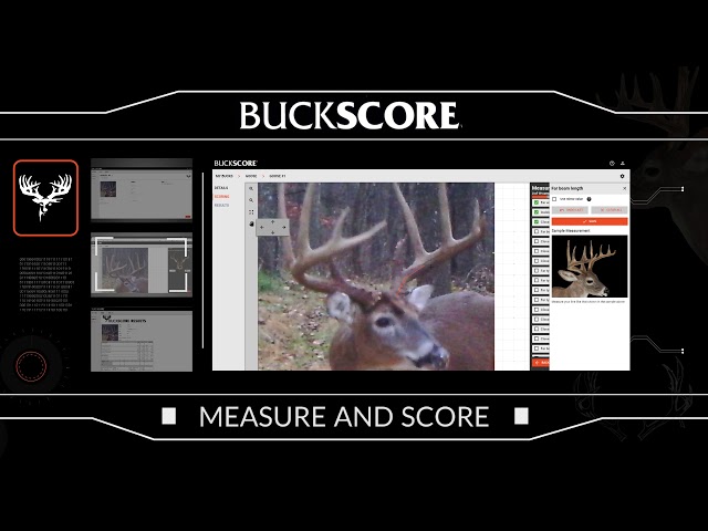 BuckScore - Apps on Google Play