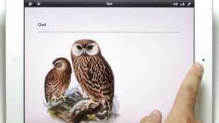 Getting Started with Wisdom Writer 1.3 screenshot 4