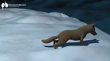 Creature Animation Test