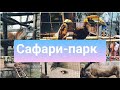 Прогулка по Сафари-парку в Краснодаре #краснодар#парк#зоопарк