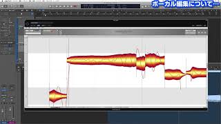 Celemony / Melodyne を使ったボーカル編集の流れ