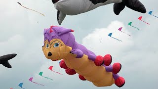 Drachentreffen Rattey (Schönbeck)