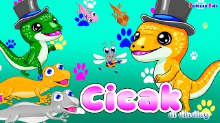 Cicaknya Warna Warni Lagu CICAK CICAK DIDINDING