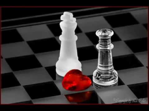 شيماء الشايب القريب منك بعيد  