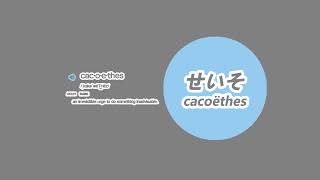 seiso cacoëthes Live Stream