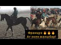 Франсузга баа бериңиздер 👆 Келдиш Балбан жигитовка 🔥🔥🔥