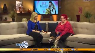 Pet Refuge Pet: Binky