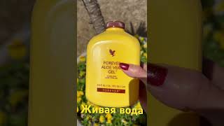 Живая вода! Алое вера . Форевер #music #song #подкасты