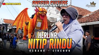DJ NITIP RINDU - VOC. HERLINA | DUA PUTRA X ANGGUR CULTURE | GEBANG - CIREBON