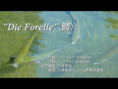 ”Die Forelle”（鱒）　（作曲：シューベルト　Schubert ／　作詩：シューバルト Schubart　／　合唱編曲：川畑邦弘）