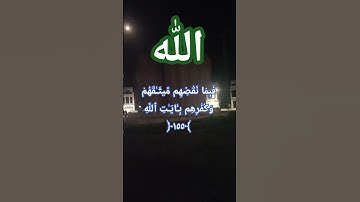 سورة النساء آية 155 | نقض العهد وكفرهم بآيات الله | تلاوة مؤثرة وخلفية ليلية رائعة