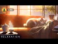 🔴 Relaxing Music 24/7, Stress Relief Music, Sleep Music, Meditation Music, Study, Calming Music