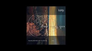 Laroz Camel Rider - Yenenya (Chris IDH Remix) Resimi