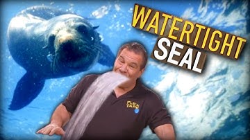 [YTP] High Phil Swift here