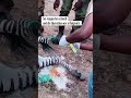 🦓🩺💉 Zebra-Rettung im Masai Mara Reservat, Kenia 🦓🩺💉