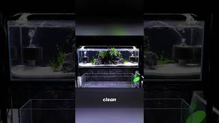 Aquarium Substrate: The Good, The Bad, and The Ugly