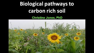 2020 Soil Health Conference Keynote Speaker: Dr. Christine Jones, P.H.D. Soil Biochemistry