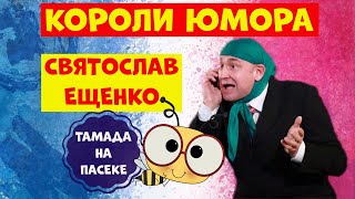 Юмористическая передача.Святослав Ещенко.Юмор.