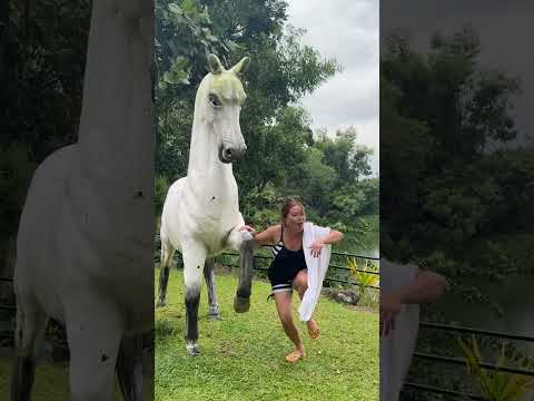 Shorts Funnyvideo Philippines Vacation