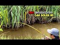 MANCING!!! Tarikan ikan seperti jaran kepang Senggol dikit Auto Bacok