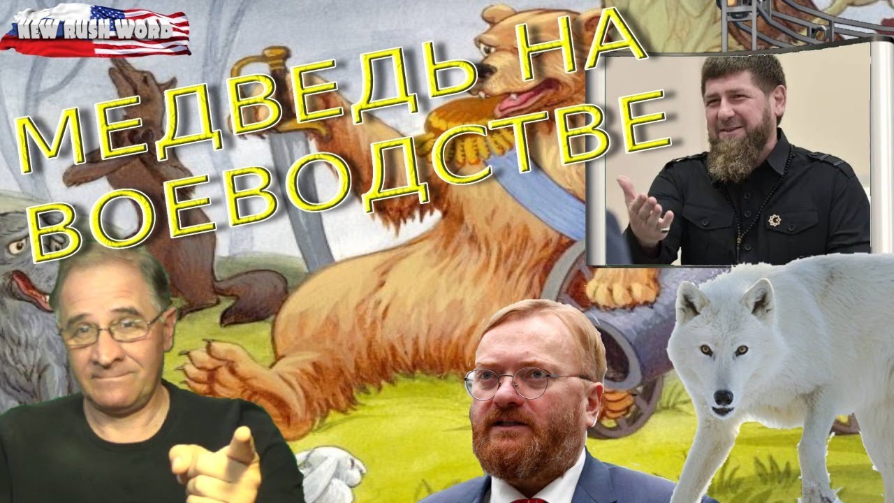 Медведь на воеводстве | Новости 7-40, 16.7.2021 - YouTube