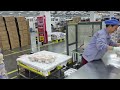 70 sets high speed paper bag machine running in customer side factory
