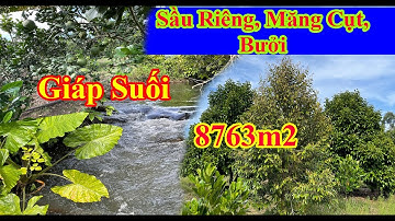 ✅Td117.(Đã Bán) Vườn Sầu riêng, Bưởi, măng cụt sum xuê bên bờ suối 8763m2.