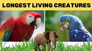 Top 10 Long Living Animals In The World | Fascinating Creatures