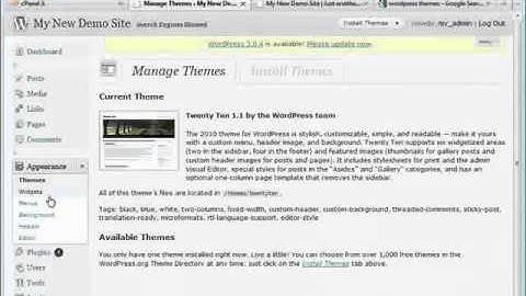 Wordpress Tutorial Video Excerpt Module 2-Video 7 - Themes Intro and Install