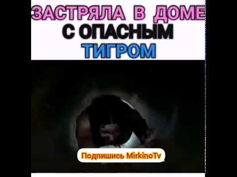 Застряла в доме с опасным тигром