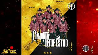 Video thumbnail of "Conjunto Tempestad - Huapango Tempestad / 2022"