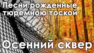 Осенний сквер - замечательный и лиричный шансон сочиненный в тюремных стенах [Тюремная лирика]