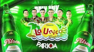 MIX ÉXITOS DE LA ÚNICA TROPICAL 2024 (partido en dos, destrozaste mi alma, si esta casa hablara...)