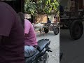 এতো কষ্টো ঘোঁৰাৰ কিছু বোলে না | #trendingshorts #youtubeshorts #shortvideo
