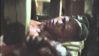 Roots 'Kunta' Transform Humans into Livestock