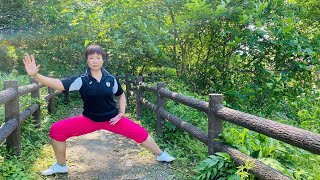 Lesson 40　Baduanjin&Chen style Taiji 八段錦＆陳式太極拳