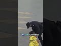 Bir okul öğrencisini kurtarma operasyonu