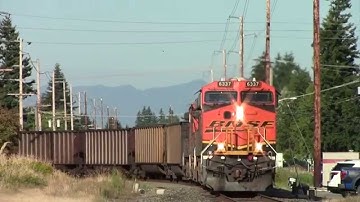 BNSF Empty Coal on the Sumas Sub at Sedro-Woolley, WA