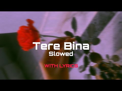 Tere Bina - Slowed Taras Tarasti Hu Mai Sawariya