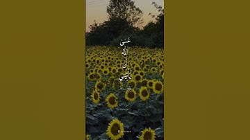 فصبر جميل#سورةيوسف