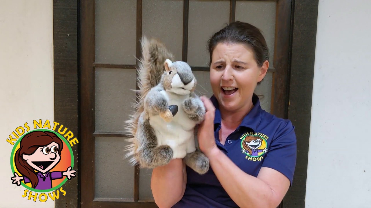Kids Nature Shows - Interview with a Squirrel