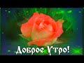 🌹Доброго чудесного  утра!🌹 Лёгкого дня и прекрасного настроения! 💖🌹🌹🌹