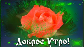 🌹Доброго Чудесного  Утра!🌹 Лёгкого Дня И Прекрасного Настроения! 💖🌹🌹🌹