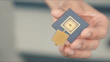 Brain-Computer Interface Collaboration