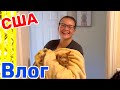 США Влог Банный день у котиков Большая семья в США Big big family in the USA VLOG