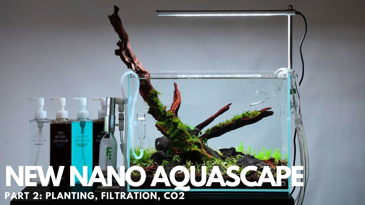 New ADA Mini M Aquarium - Part 2 - YouTube