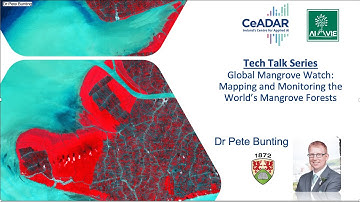 CeADAR Tech Talk-Global Mangrove Watch:Mapping & Monitoring World’s Mangrove Forests-Dr Pete Bunting
